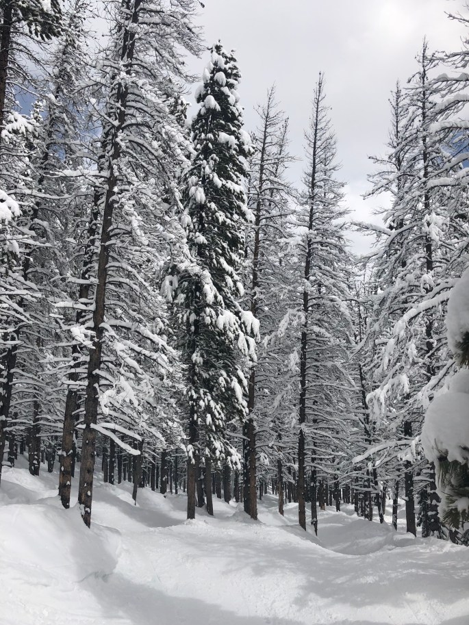 GPKQpQ8GQDS4NkNxKANUoQ